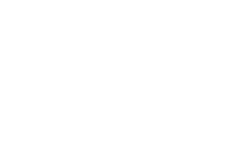 ITEM 9 LABS